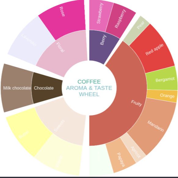 Coffee aroma and taste wheel with color swatches