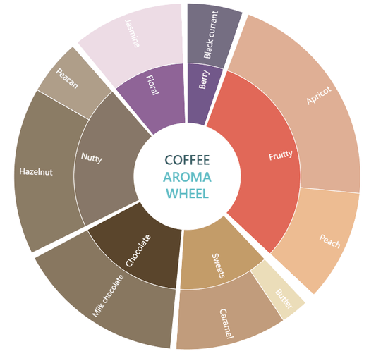 Attikan Estate - Honey Sun - Dried - Medium - Light Roast - kafeido roasters