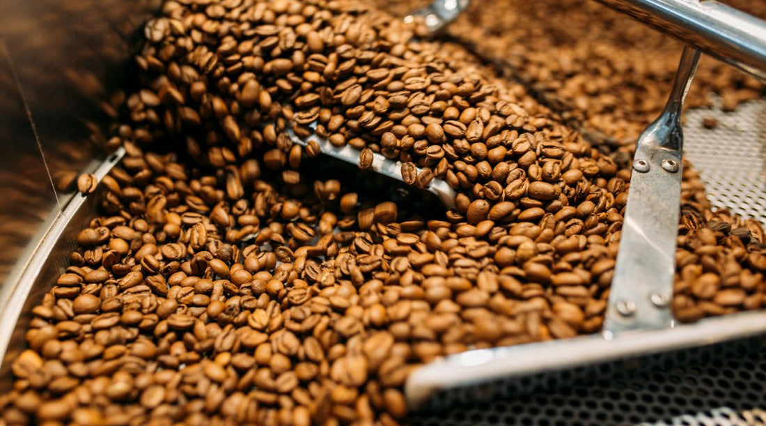Specialty coffee roasting process: An overview & factors affecting the final flavor of your brew