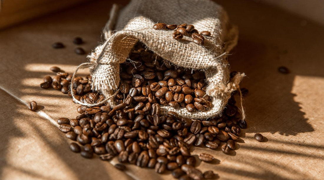How to Choose the Best Coffee Beans for Your Brewing Method