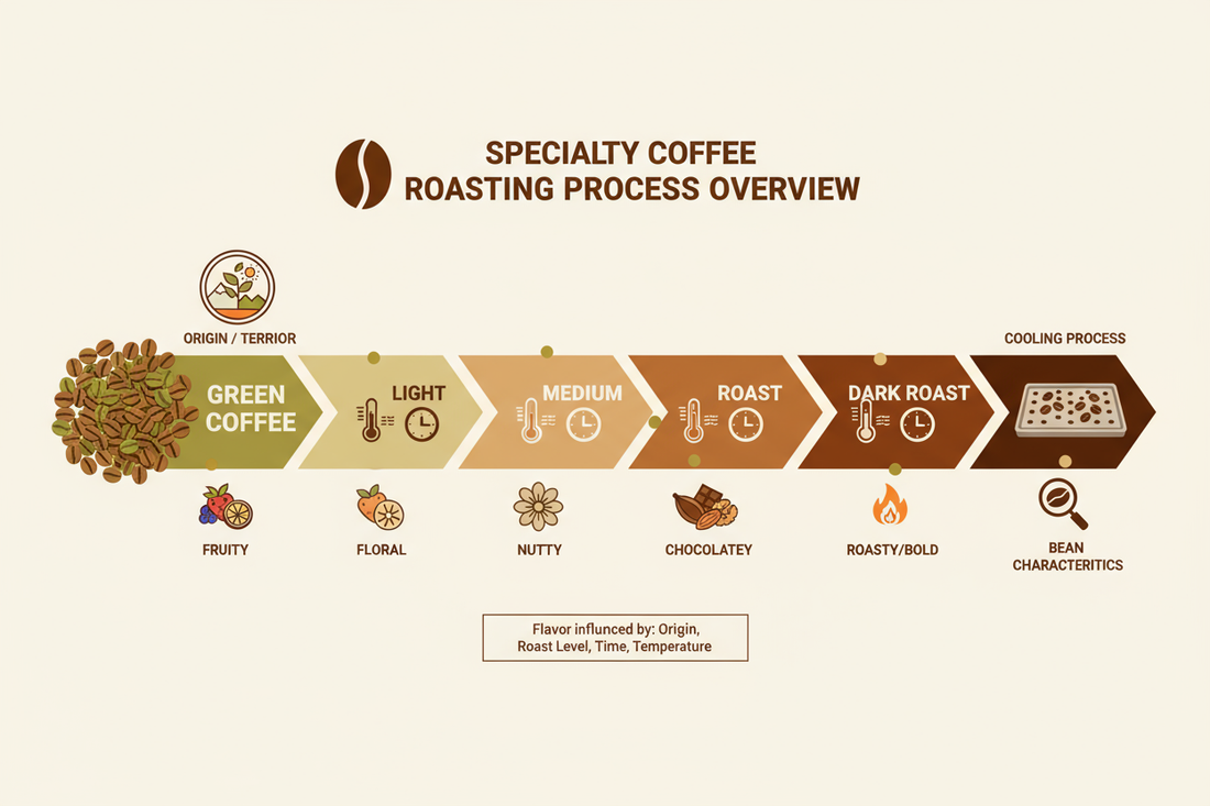 Specialty coffee roasting process: An overview & factors affecting the final flavor of your brew