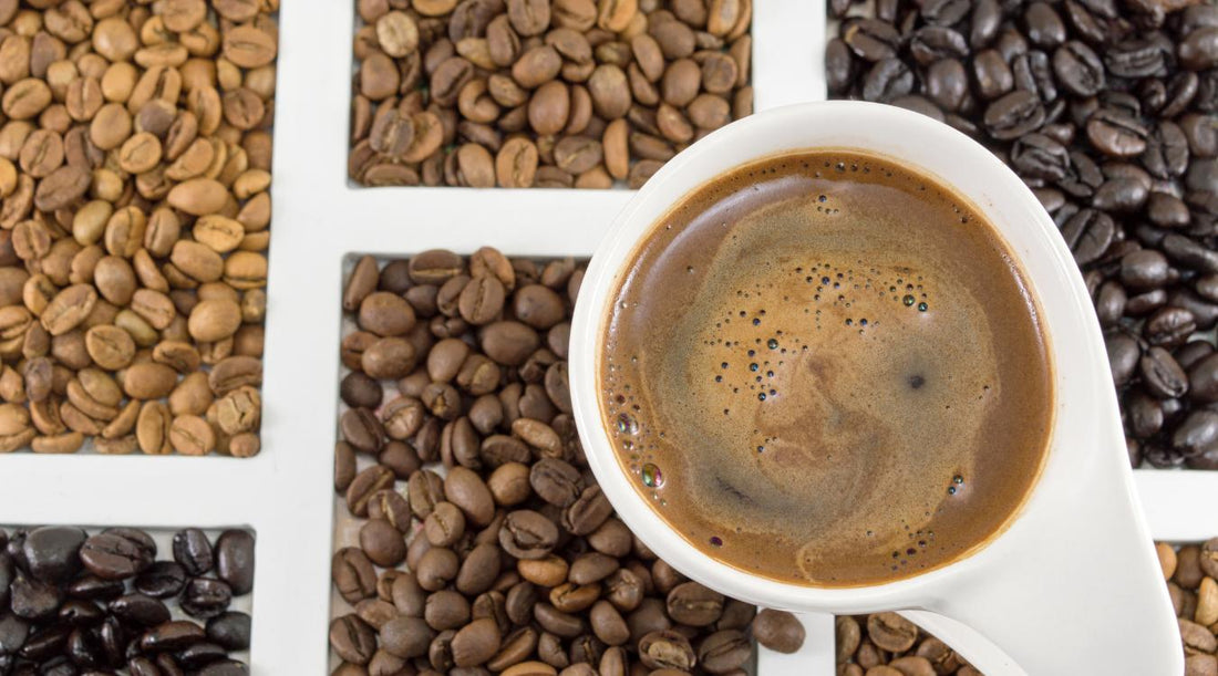 Specialty Coffee vs Regular Coffee: What's the Difference? - kafeido roasters