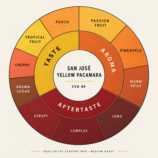 A circular qualitative sensory map for San José Yellow Pacamara medium roast coffee, showing taste, aroma, and aftertaste segments in warm yellow, orange, brown, and red tones on a cream background.