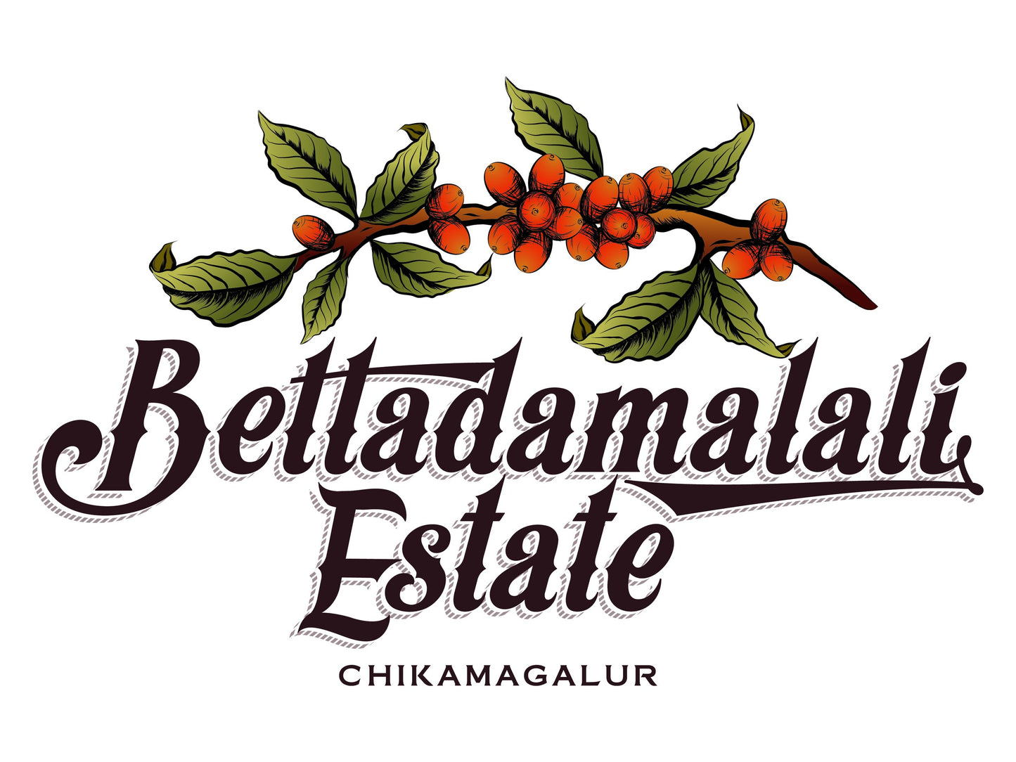 Bettadamalali Estate  - 26 hrs Aerobic Washed - Medium Roast