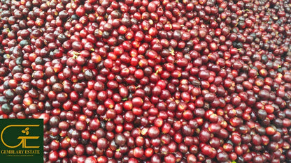 Gemblary Estate - Washed - Medium - Dark Roast - kafeido roasters