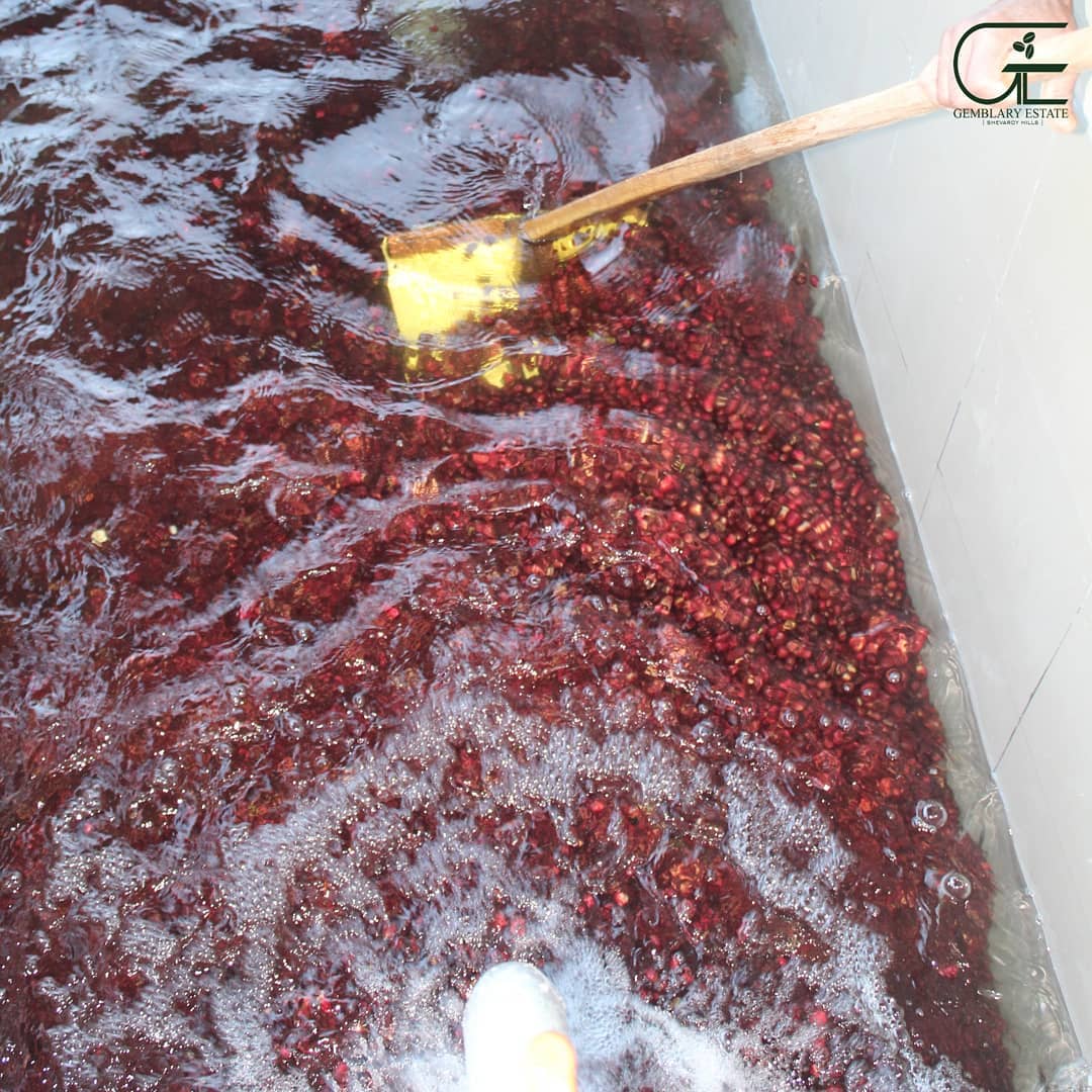 Gemblary Estate - Washed - Medium - Dark Roast - kafeido roasters