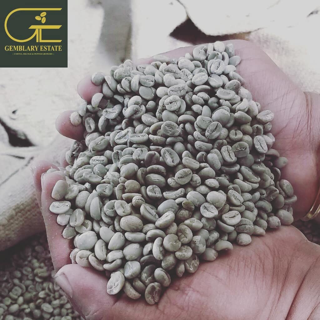 Gemblary Estate - Washed - Medium - Dark Roast - kafeido roasters