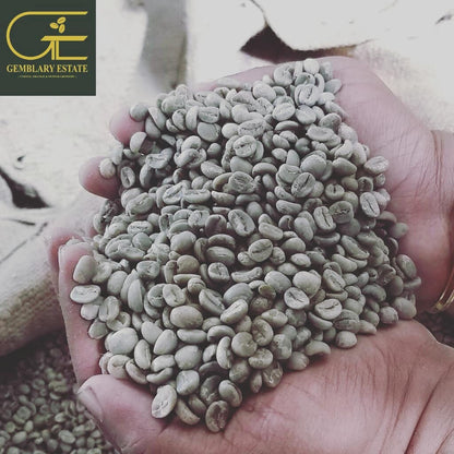 Gemblary Estate - Washed - Medium - Dark Roast - kafeido roasters