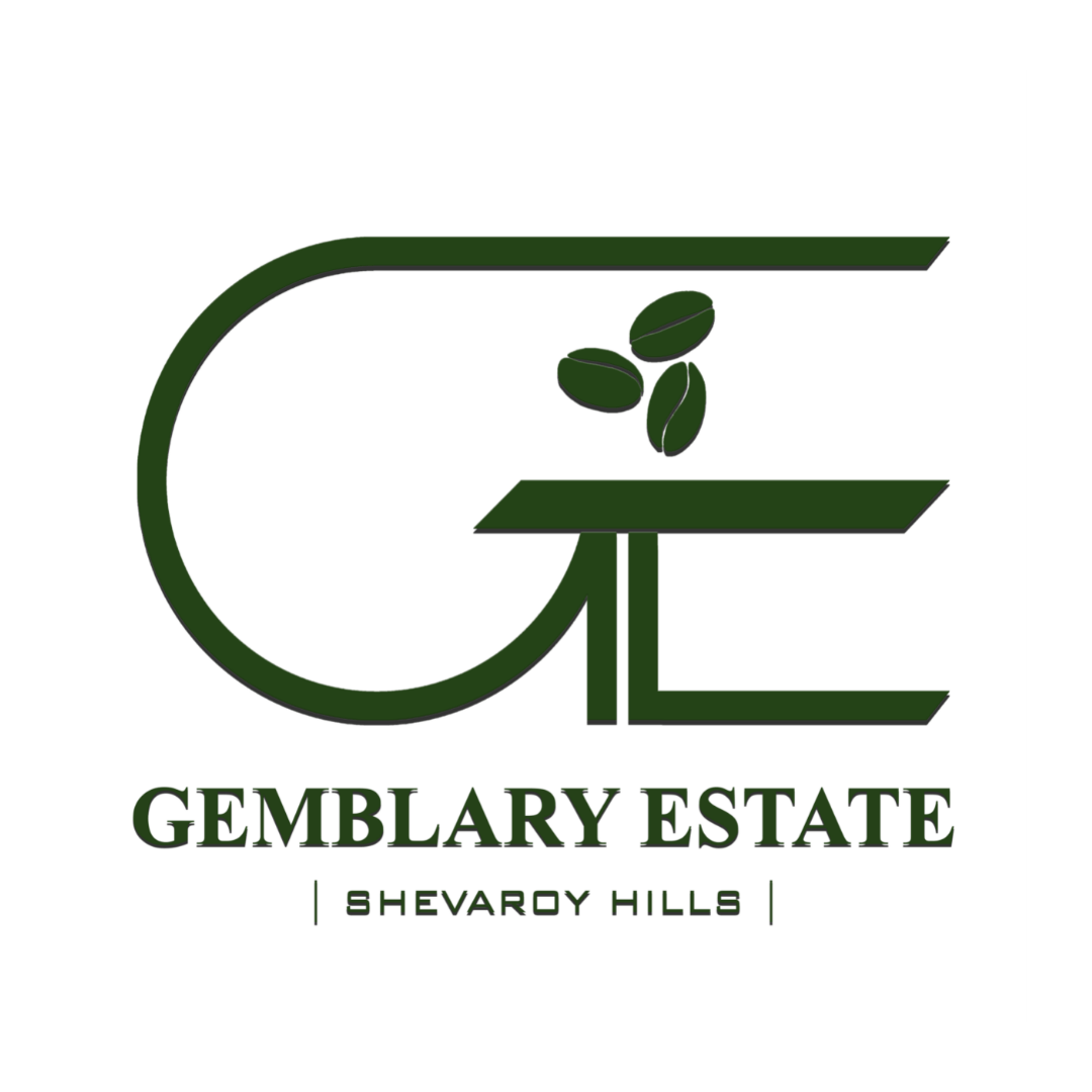 Gemblary Estate - Washed - Medium - Dark Roast - kafeido roasters