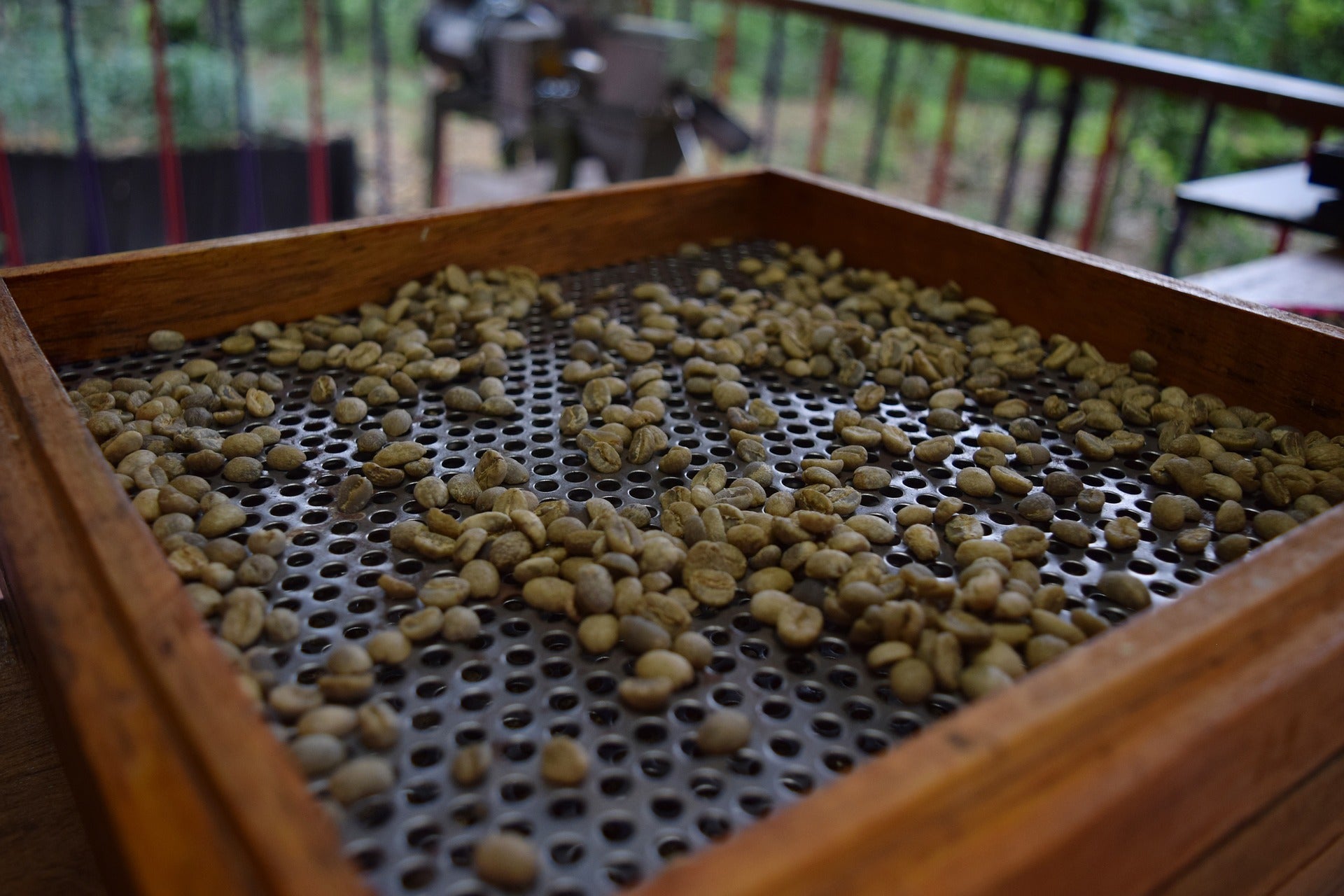 Gemblary Estate - Washed - Medium - Dark Roast - kafeido roasters