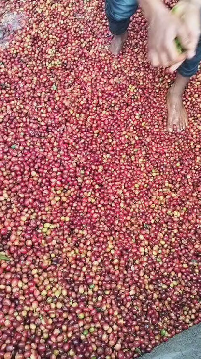 Unnaki Estate  - Dark Honey - Medium-Light Roast